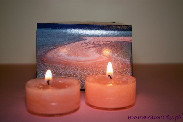 Podgrzewacze zapachowe Różowe piaski Yankee Candle
